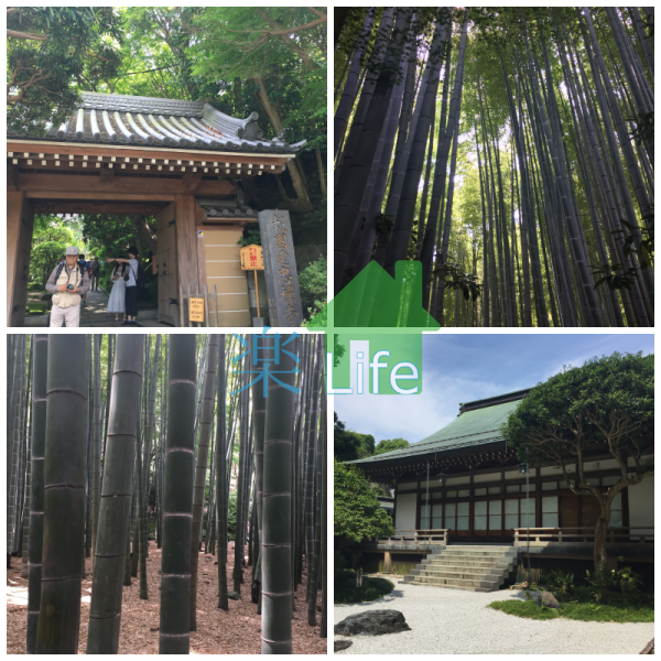 報国寺